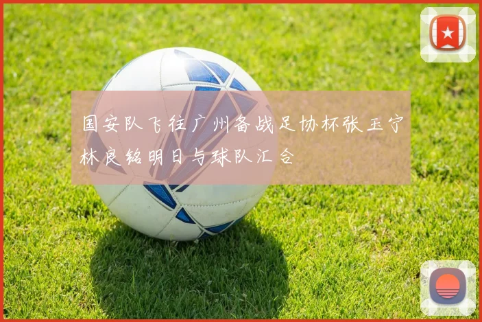 国安队飞往广州备战足协杯张玉宁林良铭明日与球队汇合