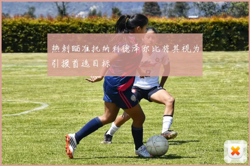 热刺瞄准托纳利德泽尔比将其视为引援首选目标
